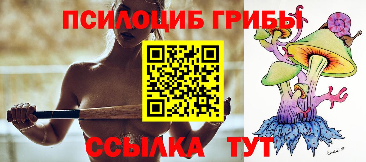 Галлюциногенные грибы Psilocybine cubensis  Псилоцибиновые грибы мицелий  Вход с VPN  Сланцы 